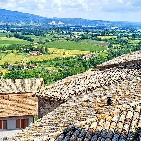 Domus Claudia Castiglione In Teverina